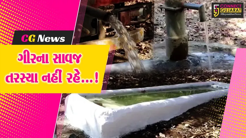 જૂનાગઢ : સાસણ ગીર અભ્યારણમાં વન્ય પ્રાણીઓ માટે વન વિભાગે 500 પાણીના પોઇન્ટ ઉભા કર્યા