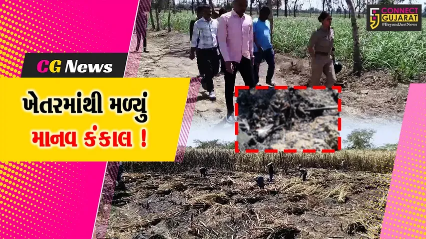 અંકલેશ્વર: બાકરોલ ગામે શેરડીના ખેતરમાંથી માનવ કંકાલ મળી આવ્યું, પોલીસ તપાસ શરૂ