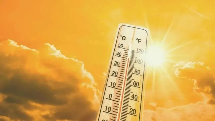 SUMMERS