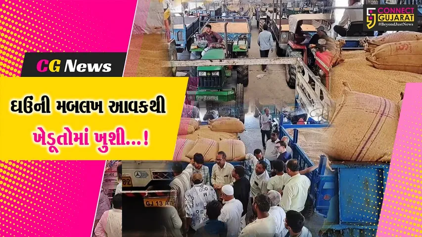 સાબરકાંઠા : હિંમતનગર માર્કેટિંગ યાર્ડ ખાતે ઘઉંની મબલખ આવક, ખેડૂતોને સારા ભાવ મળતા ખુશીનો માહોલ છવાયો