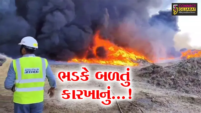 અમરેલી : જાફરાબાદમાં કચરાનું રિસાયક્લિંગ કરતા કારખાનામાં ભીષણ આગ લાગતા દોડધામ, ફાયરની 7 ટીમ બચાવ કામગીરીમાં લાગી