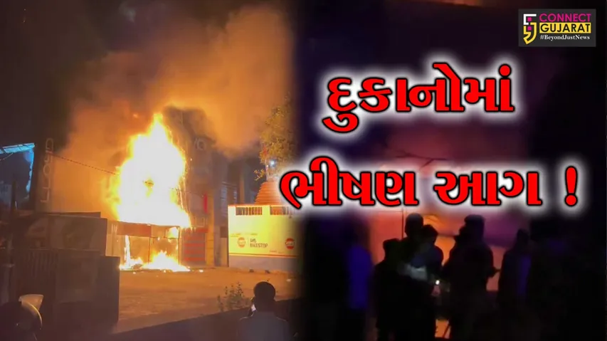 WhatsApp Image 2025-03-31 at 10.41.54 AM