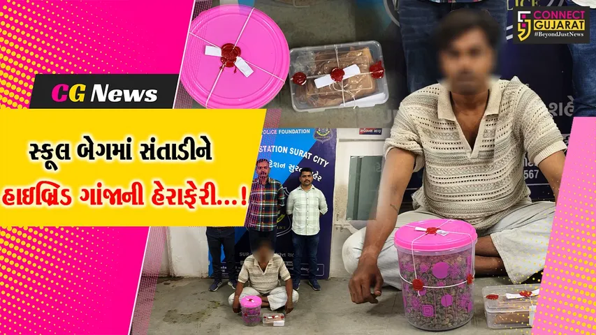 સુરત : હાઇબ્રિડ ગાંજા સાથે આરોપીની ધરપકડ કરતી પોલીસ, બે આરોપીઓ વોન્ટેડ.