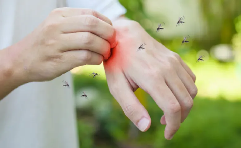 aaa