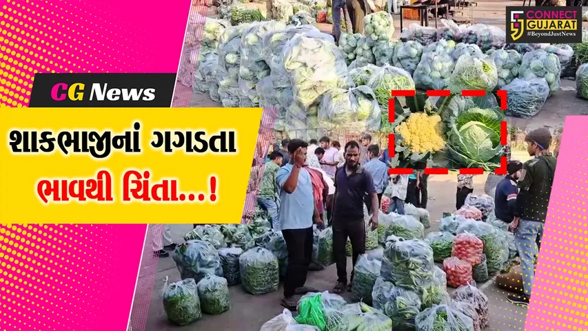 સાબરકાંઠા : ફુલાવર, કોબીજ, ટામેટા સહિત અન્ય શાકભાજીનાં ઉત્પાદન સામે પોષણક્ષમ ભાવનાં અભાવથી ખેડૂતોમાં ચિંતા