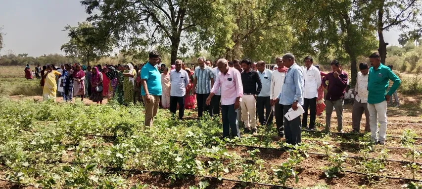 પ્રાકૃતિક ખેતી વિઝિટ