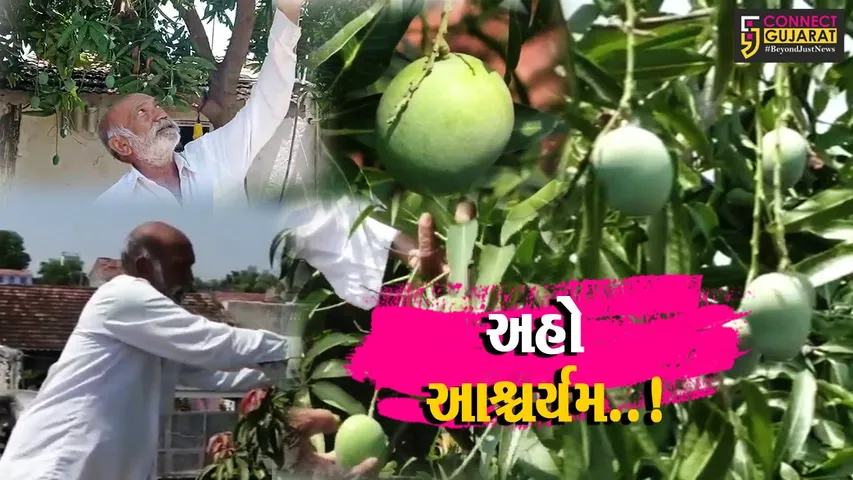 Amreli Farmer