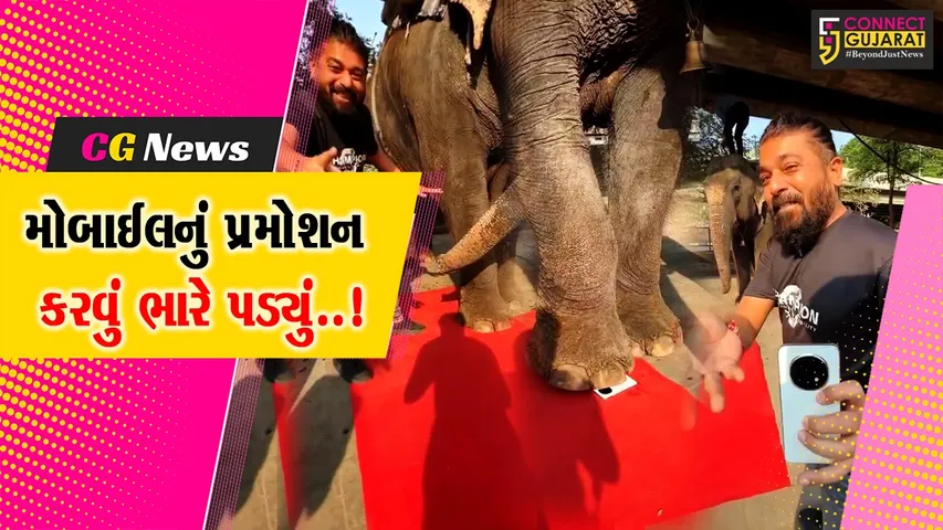 surat mobile Pramotion