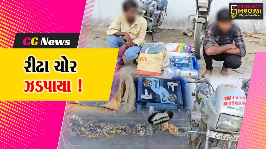 ભરૂચ:સી ડિવિઝન પોલીસે ચોરીના ગુનામાં સંડોવાયેલ 2 રીઢા ચોરની કરી ધરપકડ, ચોરીમાં 6 ગુનાનો ભેદ ઉકેલાયો