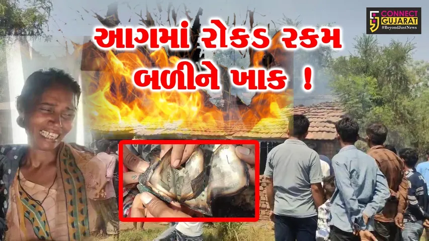 ભરૂચ: જંબુસરના વેડચ ગામે મકાનમાં લાગેલી આગમાં રોકડા રૂ.1.25 લાખ સ્વાહા, દાગીના પણ બળી ગયા !