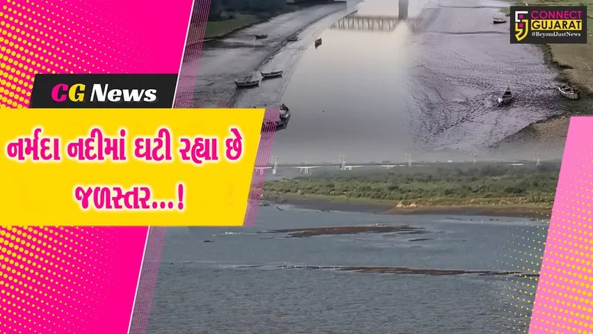 Narmada River Water Level