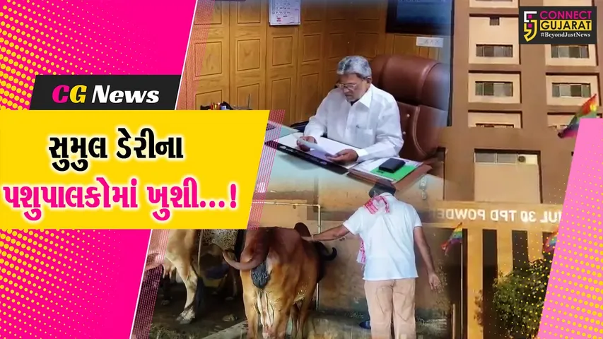 સુરત : સુમુલ ડેરી દ્વારા પશુપાલકો માટે કરવામાં આવી મહત્વની જાહેરાત,દૂધના ભાવમાં કર્યો વધારો
