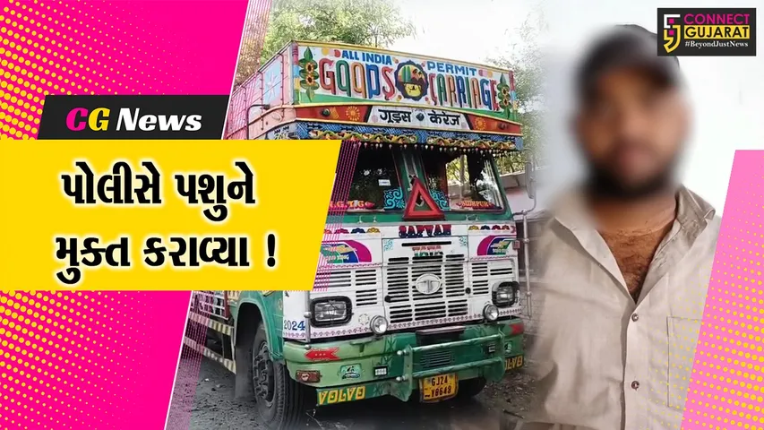 અંકલેશ્વર: NH 48 પરથી ક્રૂરતા પૂર્વક ટ્રકમાં લઇ જવાતા 62 બકરા પોલીસે મુક્ત કરાવ્યા, ટ્રકચાલકની ધરપકડ