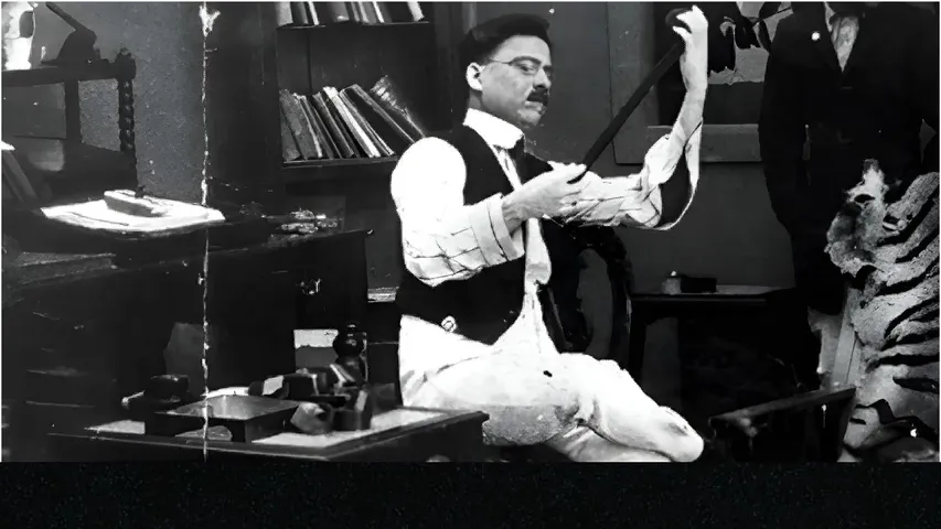 indian cinema