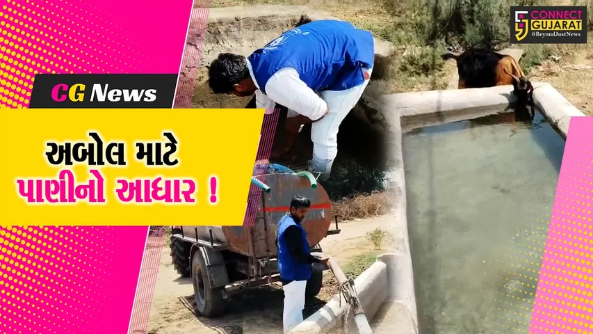 Manmaitri Seva Foundation