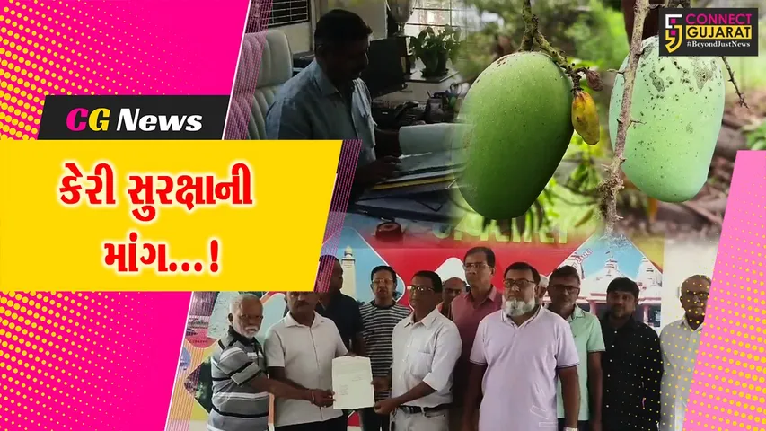 નવસારી : આંબાવાડીની સુરક્ષા માટે ખેડૂતોની માંગ,કેરી ચોરીની ફરિયાદ ઉઠતા ધરતીપુત્રો ચિંતાગ્રસ્ત