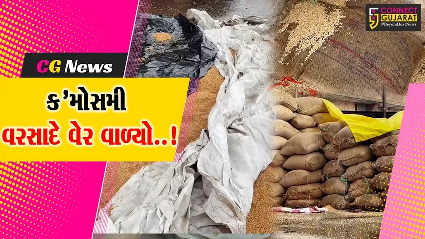 અરવલ્લી : ભિલોડા માર્કેટ યાર્ડમાં ખુલ્લામાં પડેલો અનાજનો જથ્થો સંપૂર્ણપણે પલળી જતાં વેપારીઓને આર્થિક નુકશાન...