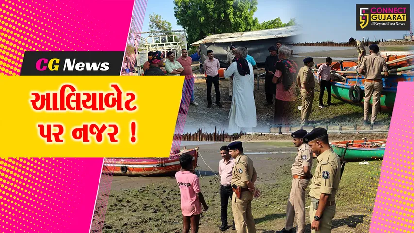ALIABAD Police Cheking