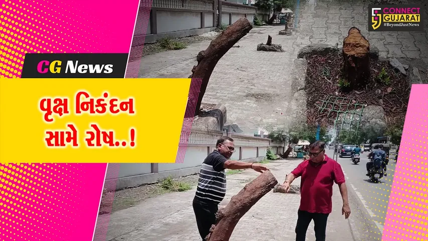 Ankleshwar Tree Cutting
