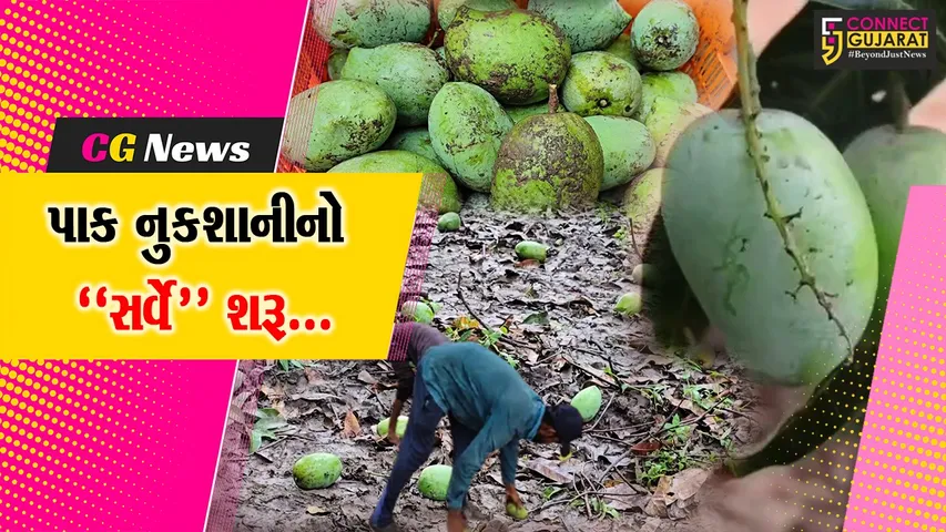 વલસાડ : કમોસમી વરસાદ અને વાવાઝોડાથી ખેતી-બાગાયત પાકને મોટું નુકશાન, સરકાર દ્વારા સર્વે શરૂ કરાયો...
