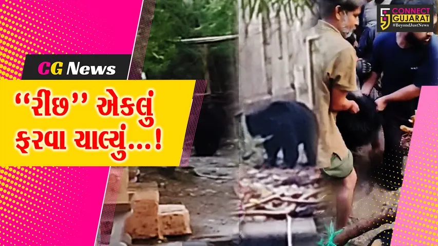 જૂનાગઢ : સક્કરબાગ ઝૂમાંથી રીંછ બહાર નીકળી જઈને રહેણાંક વિસ્તારમાં ઘૂસી જતા ફફડાટ