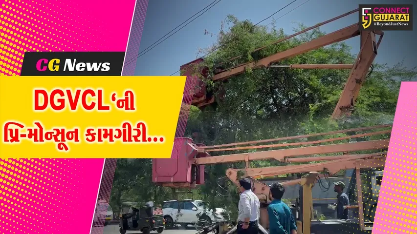 અંકલેશ્વર : DGVCL'ની પ્રિ-મોન્સૂન કામગીરી, વીજ વાયરોને નડતરરૂપ ઝાડની ડાળીઓ દૂર કરાય...