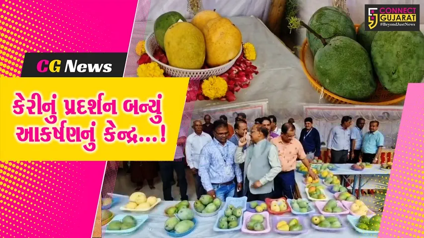 નવસારી : કૃષિ યુનિવર્સિટી દ્વારા કેરીની સ્પર્ધા અને પ્રદર્શન યોજાયું, અવનવી કેરી બની આકર્ષણનું કેન્દ્ર