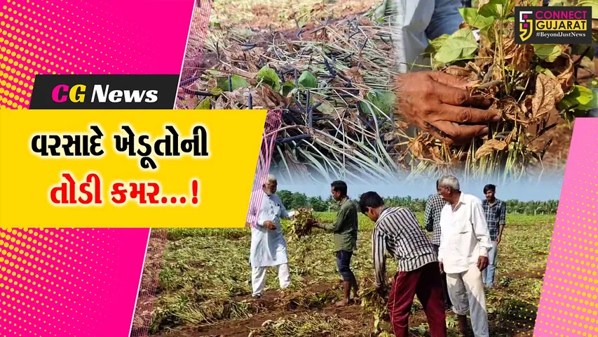 જૂનાગઢ : કમોસમી વરસાદના કારણે ખેડૂતોમાં ચિંતાગ્રસ્ત,ઉનાળુ પાકને ભારે નુકસાનથી ધરતીપુત્રોના લલાટે ચિંતાની લકીર
