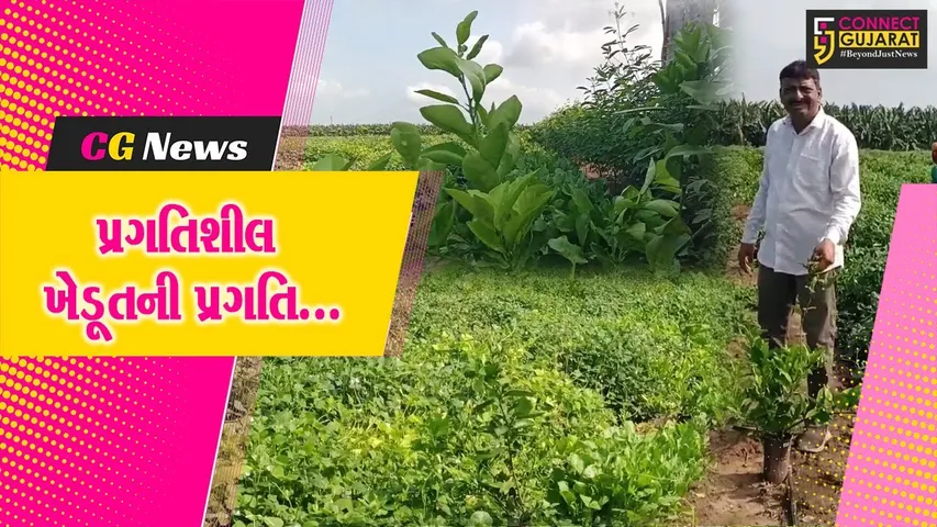 Sweet Lemon Cultivation