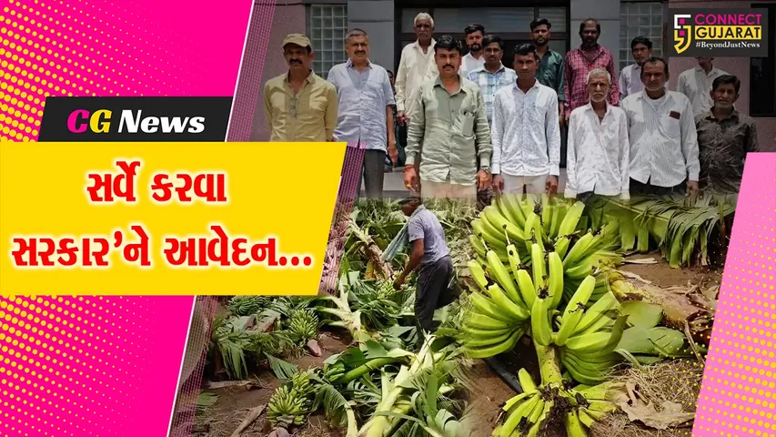 ભરૂચ : વાવાઝોડાના કહેરથી ઝઘડીયા તાલુકાના ખેડૂતો પર આફત, પાક નુકસાની સામે સર્વે કરવા તંત્રને આવેદન...
