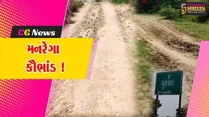દાહોદ બાદ ભરૂચમાં પણ મનરેગા કૌભાંડ, 2 એજન્સીઓએ 11 ગામોમાં થયેલ કામોમાં ગેરરીતિ આચરી રૂ.19.64 લાખ વસુલ્યા !