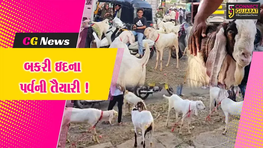 ભરૂચ: મહંમદપુરા વિસ્તારમાં બકરી ઇદ નિમિત્તે બકરા બજાર ધમધમ્યુ, 1 લાખ સુધીના બકરાનું વેચાણ