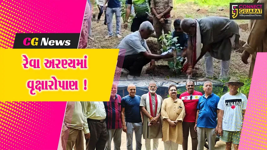 અંકલેશ્વર: વિશ્વ પર્યાવરણ દિવસ નિમિત્તે રેવા અરણ્ય ખાતે વૃક્ષારોપાણનો કાર્યક્રમ યોજાયો