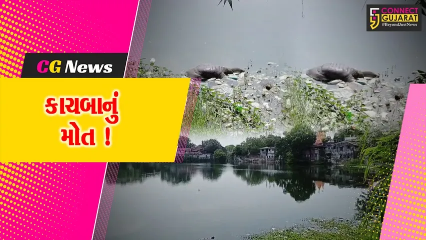 ભરૂચ: ઐતિહાસિક રતન તળાવમાં વધુ એક કાચબાનું મોત, સ્થાનિકોએ તંત્ર સામે રોષ વ્યકત કર્યો