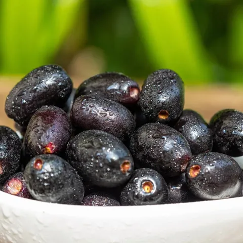 jamun