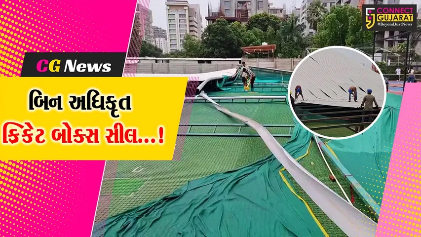 The Dot Ball Cricket Box