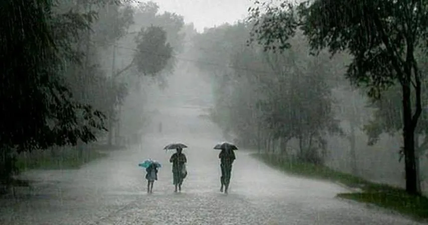 rain