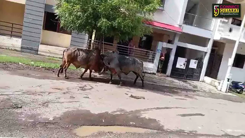 akhla yudhdh