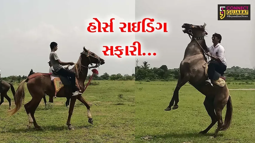 JHAGADI HORSE