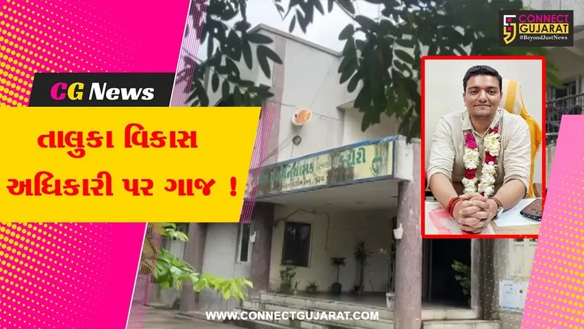 TDO Bharuch