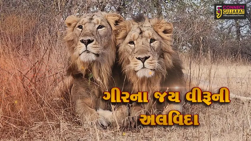 JGN JAYVEERU