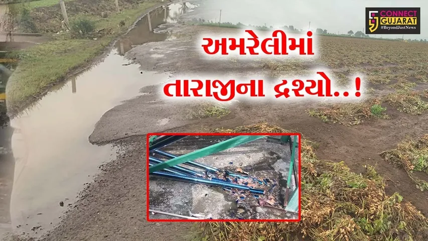 Amreli Heavy Rainfall