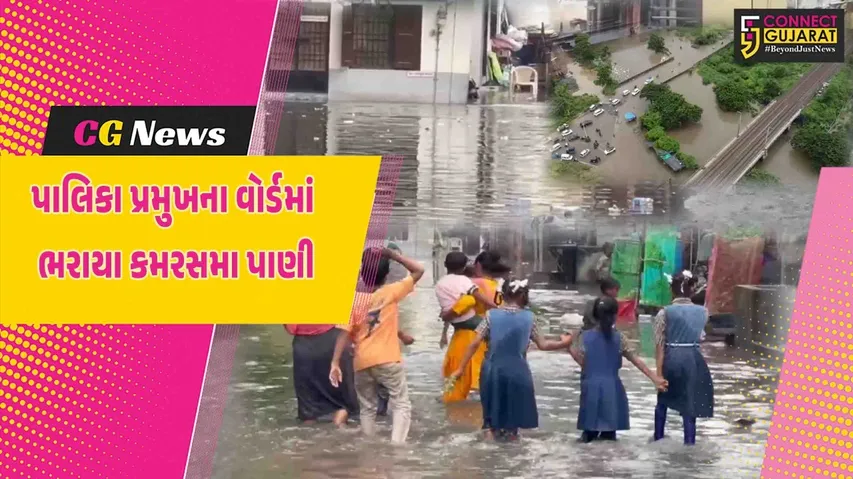 WhatsApp Image 2025-08-29 at 10.19.40 PM