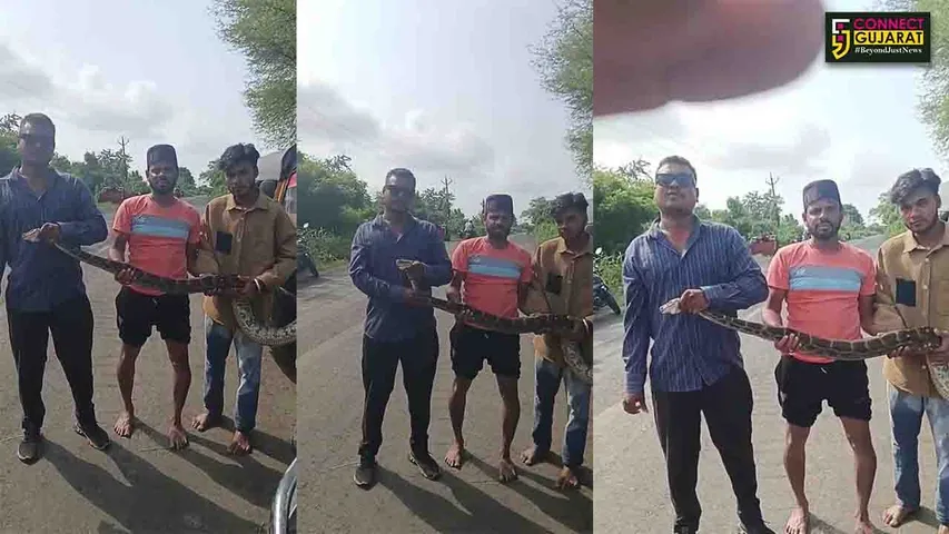 Python rescued