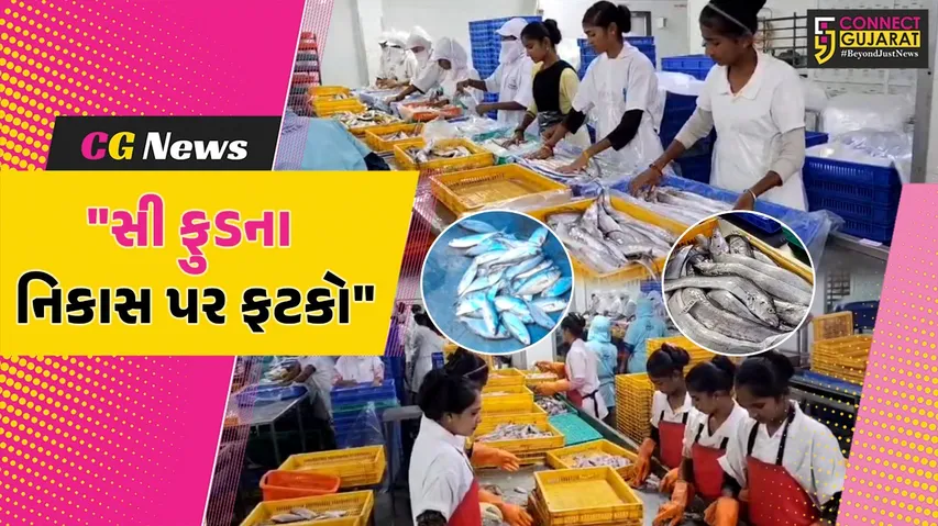 SeeFoods Exports
