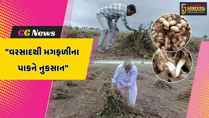 amreli farmer