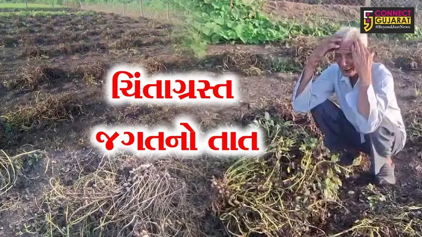Junagadh Farmer