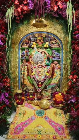 WhatsApp Image 2025-11