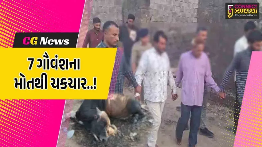 WhatsApp Image 2025-12-29 at 9.43.50 PM