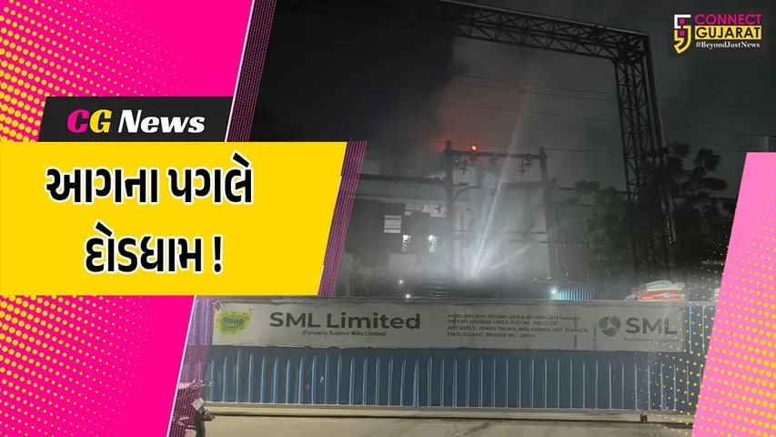 sulphur mill company